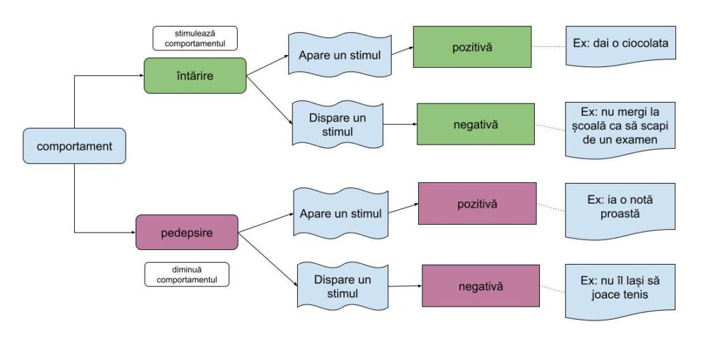 Schema tipurilor de condiționare operantă