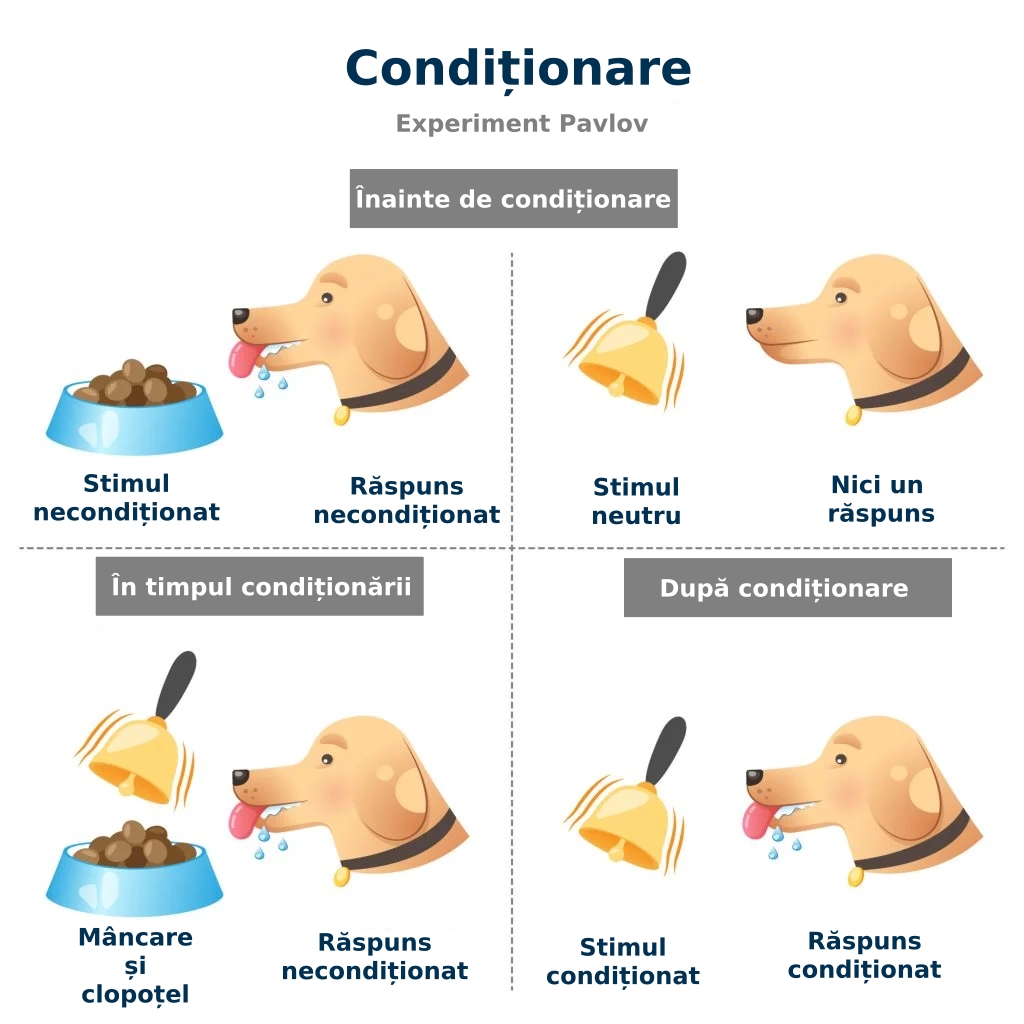 Condiționarea clasică