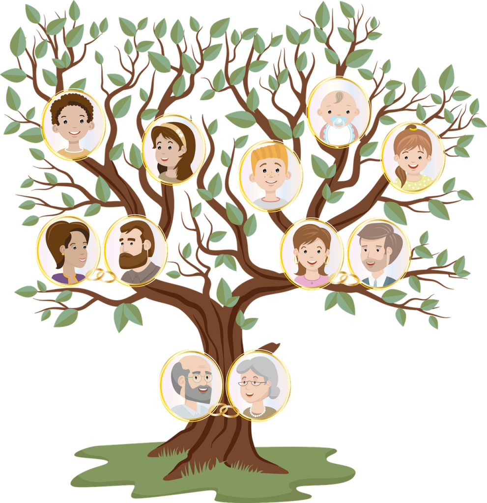 Psihogenealogia folosește des arborele genealogic