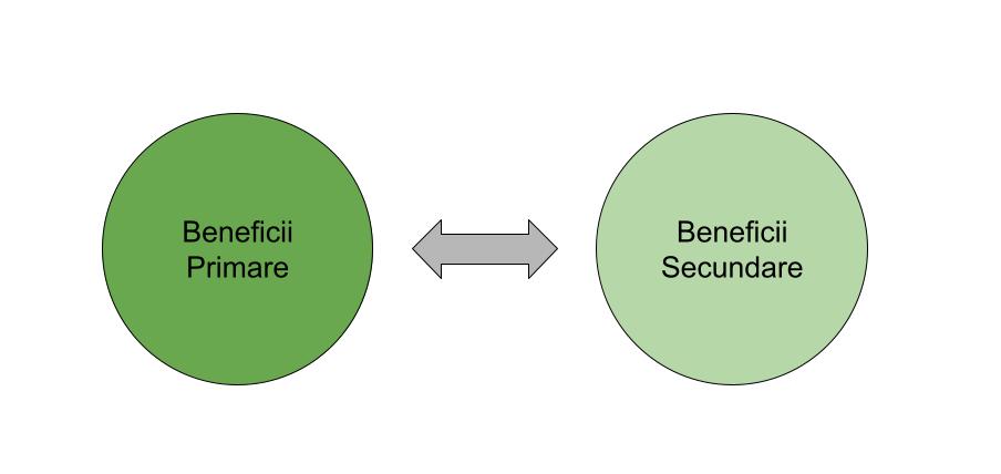 Beneficii primare si secundare