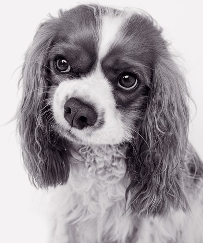 Sceptic când îndrăgostirea este menționată