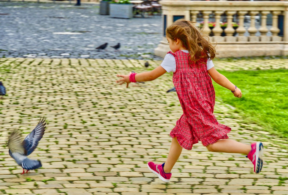 Dinamica anxios-evitant surprinsă printr-o poză a unei fetițe care urmărește un porumbel.