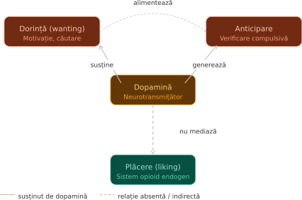 Dopamina ca substrat neural al componentei de „dorință" (wanting) și al anticipării recompensei.